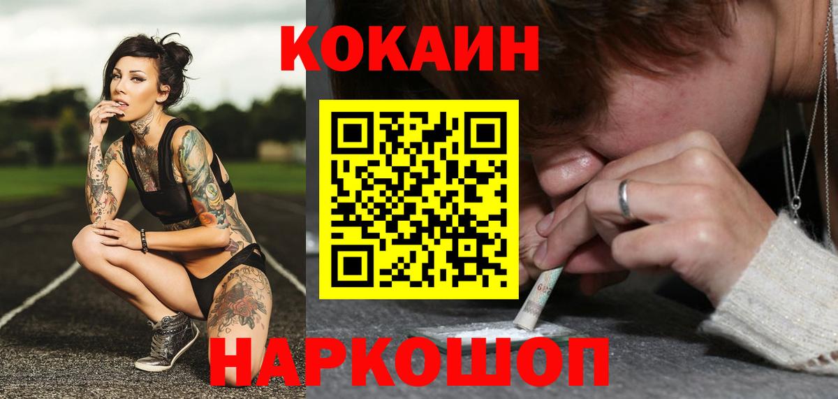 A PVP Котлас