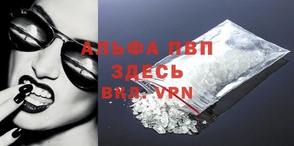 молекула духа Няндома