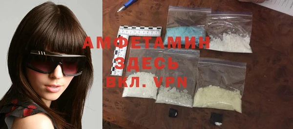 молекула духа Няндома
