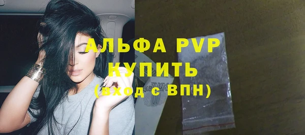 молекула духа Няндома