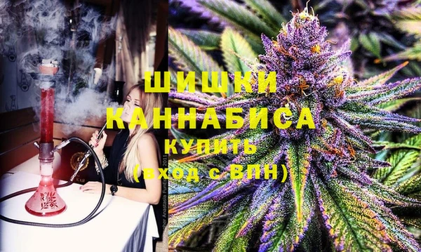 молекула духа Няндома