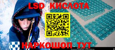 амф Донской