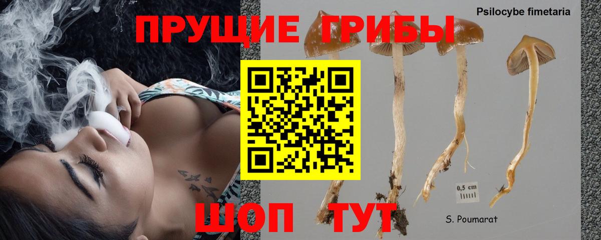 Галлюциногенные грибы Cubensis Котлас